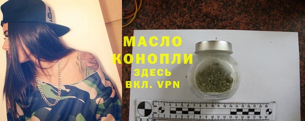 хмурый Бородино