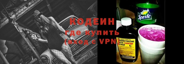 хмурый Бородино