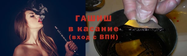 индика Верхний Тагил