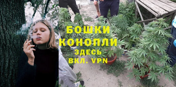 прущий лед Верея