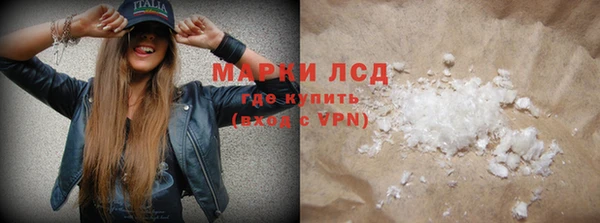 индика Верхний Тагил